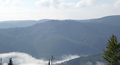 141_TZ60_P1150935_cr