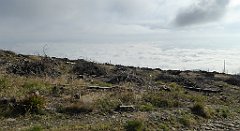 156a_TZ60_P1150949_cr