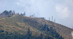 363_TZ60_P1160004_cr