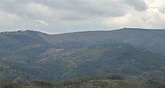 394_TZ60_P1160018_cr