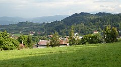 491_TZ60_P1160080_cr