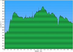 001a_2016-10-19w_Zielona_Sliwa