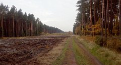 024_A806_IMG_20161027_082800_cr