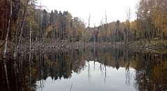 073_A806_IMG_20161027_092528_cr