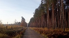 0091_A806_IMG_20161104_080556_cr