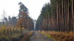 0091a_3D_P1140170_cr