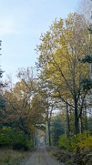 0121a_TZ_P1110038_cr