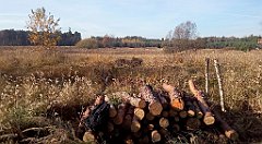 0211_A806_IMG_20161104_100906_cr