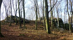 0408b_TZ_P1110425_cr