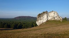 0329a_3D_P1150364_cr