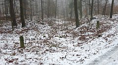 0110_3D_P1160175_cr
