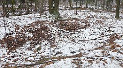 0204a_3D_P1160268_cr