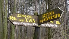 628_2017-03-29_13-44-08_3D_P1180996