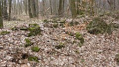 674_2017-03-29_14-12-02_3D_P1190009