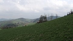 675_IMG_x52826
