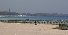 065_IMG_x53013