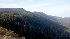 035_A806_IMG_20170927_083706