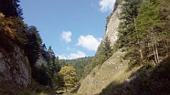 344_A806_IMG_20170930_122420