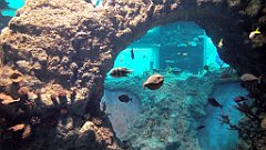 023_A806_IMG_20171210_101405