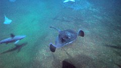 126_A806_IMG_20171210_105734