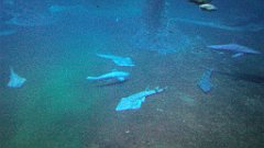 129_A806_IMG_20171210_105744