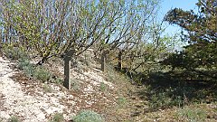 2017_05_19_Mielno_Darlowo