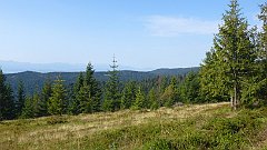 2017_08_26_Gorc_Magurka