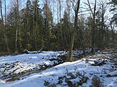 285_iP_20180212_215