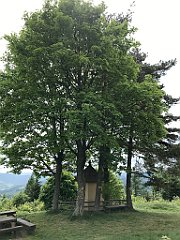 144_iP_180514_IMG_1197