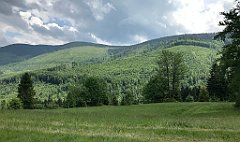 314_iP_180527_IMG_1339