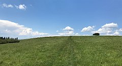 178_iP_180529_IMG_1534