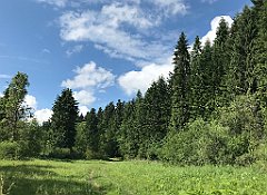 059_ip_20180616_IMG_1768