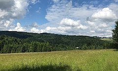 085_ip_20180616_IMG_1779