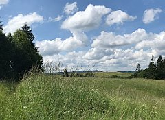 103_ip_20180616_IMG_1787