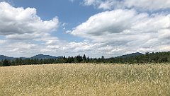 120_ip_20180712_IMG_2088