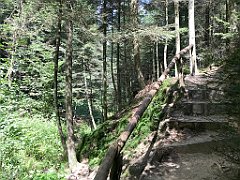 047_ip_20180812_IMG_2370