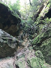 073_ip_20180812_IMG_2371