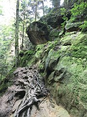 076_ip_20180812_IMG_2374