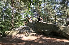 200_ip_20180812_IMG_2378