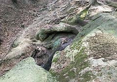 079_iP_180821_IMG_2492