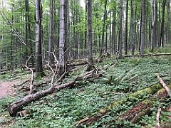 468_iP_180821_IMG_2532