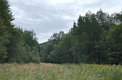 471_iP_180821_IMG_2535