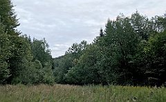 472_iP_180821_IMG_2536