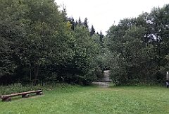 481_iP_180821_IMG_2544