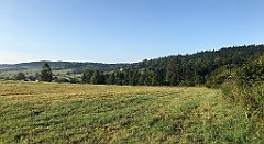 026_iP_180828_IMG_2569