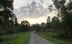 397_iP_180828_IMG_2949