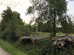 404_iP_180828_IMG_2955