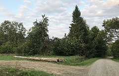 406_iP_180828_IMG_2957