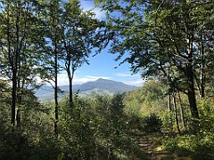 217_iP_180928_IMG_2987