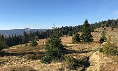 125_iP_181009_IMG_3102